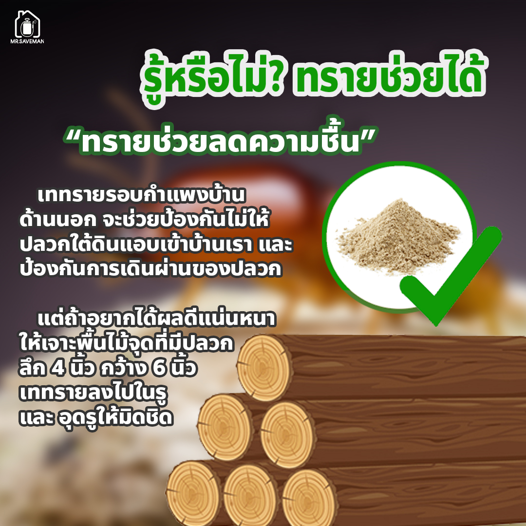 รู้หรือไม่? ทรายช่วยป้องกันปลวกได้นะ